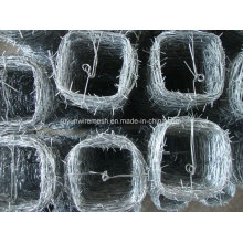 Barbed Wire Bwg12*Bwg14 Hot Sale with Certification